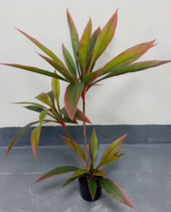 Fake Plant with Pot