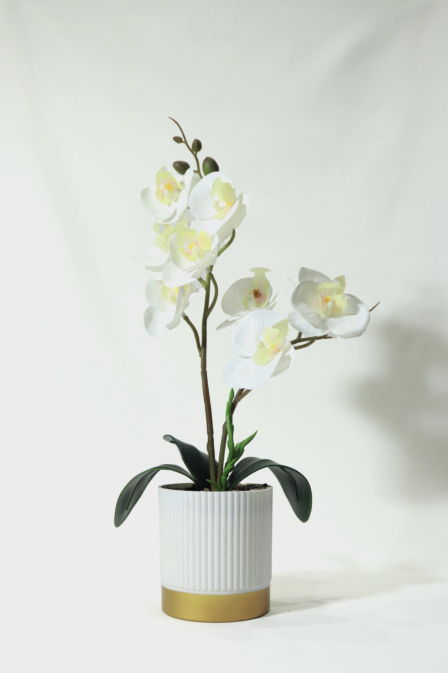 Fake Orchid with Pot