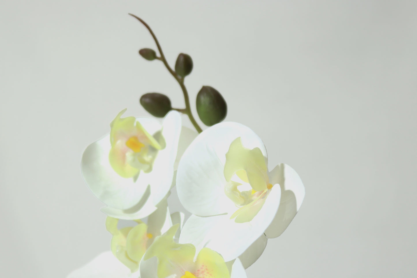 Fake Orchid with Pot