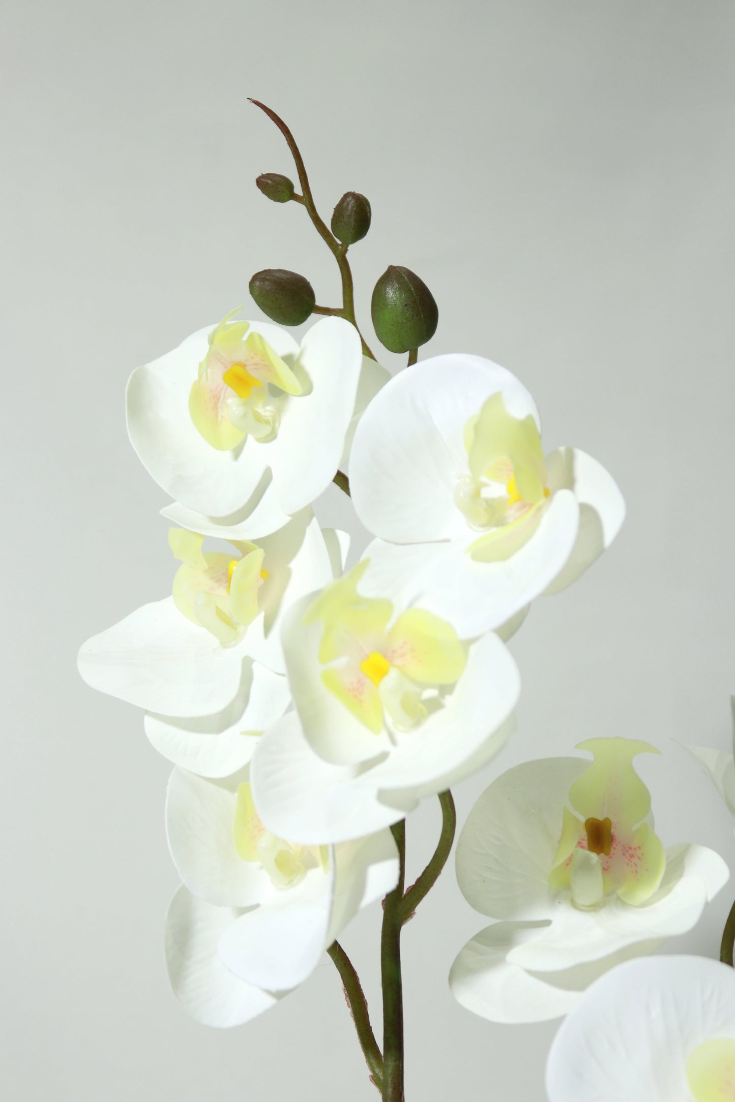 Fake Orchid with Pot