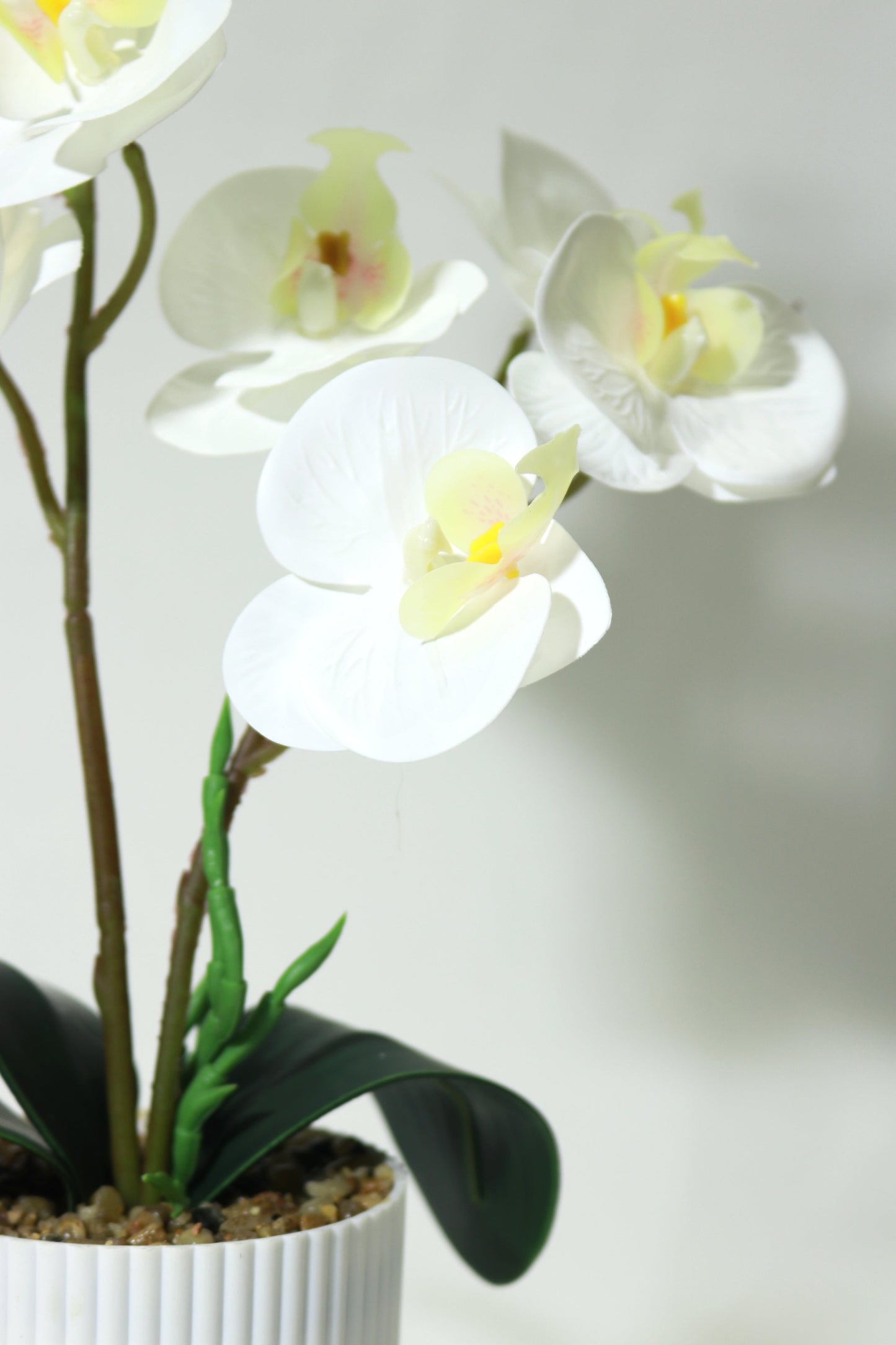 Fake Orchid with Pot
