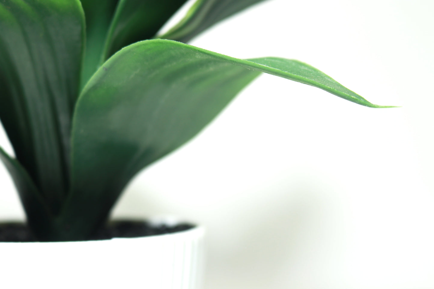 Fake Plant with Pot