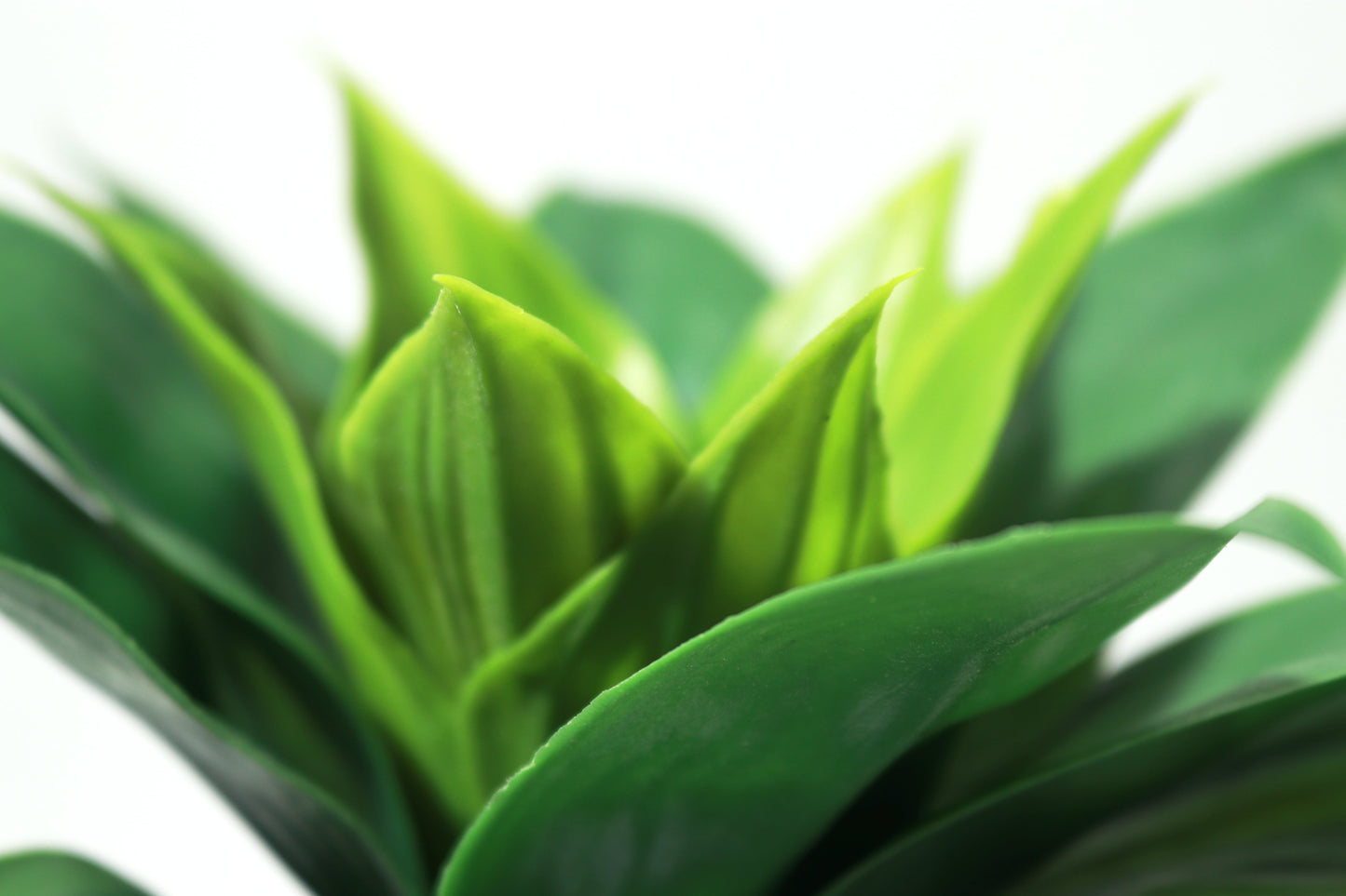 Fake Plant with Pot