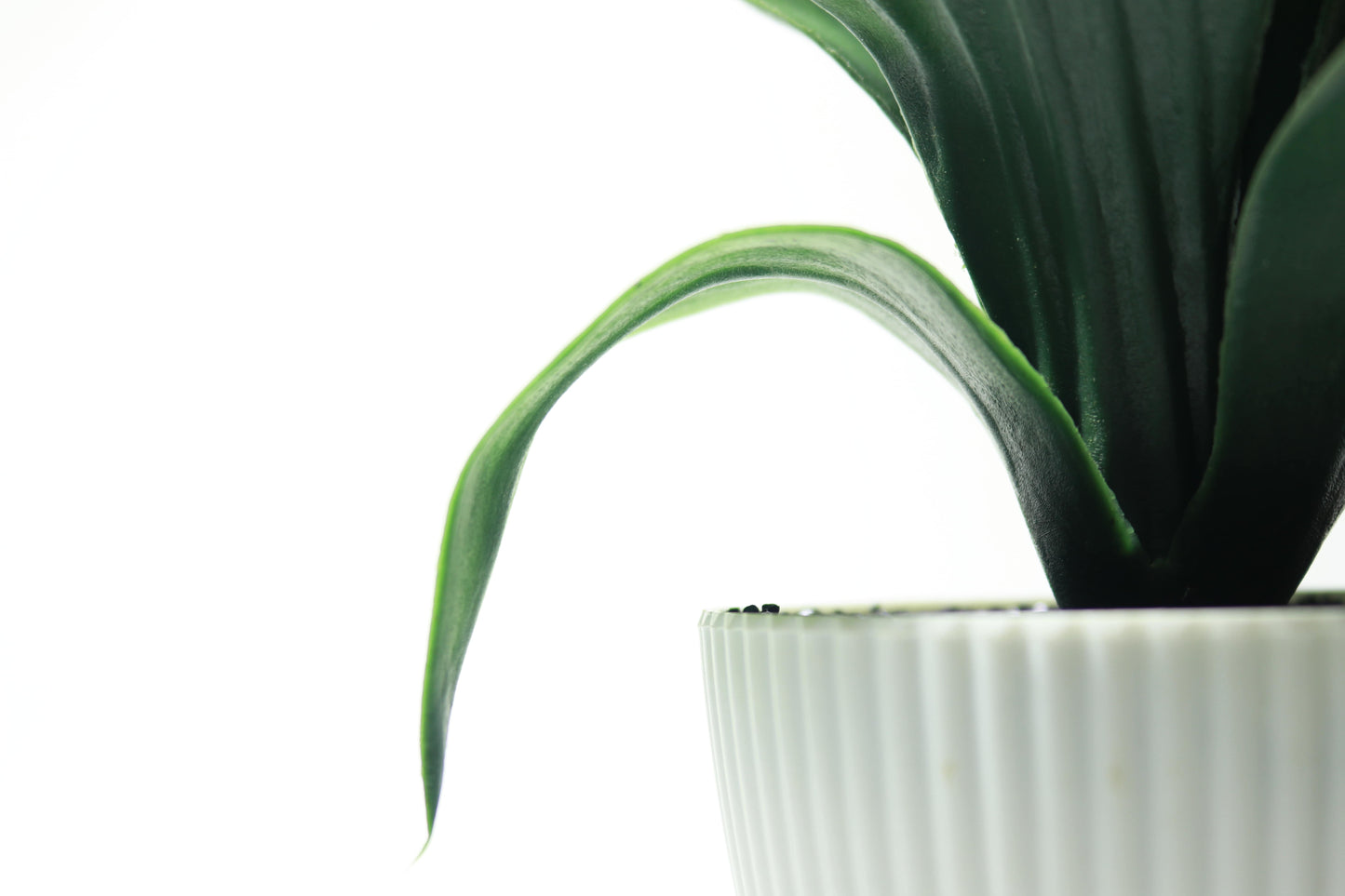 Fake Plant with Pot