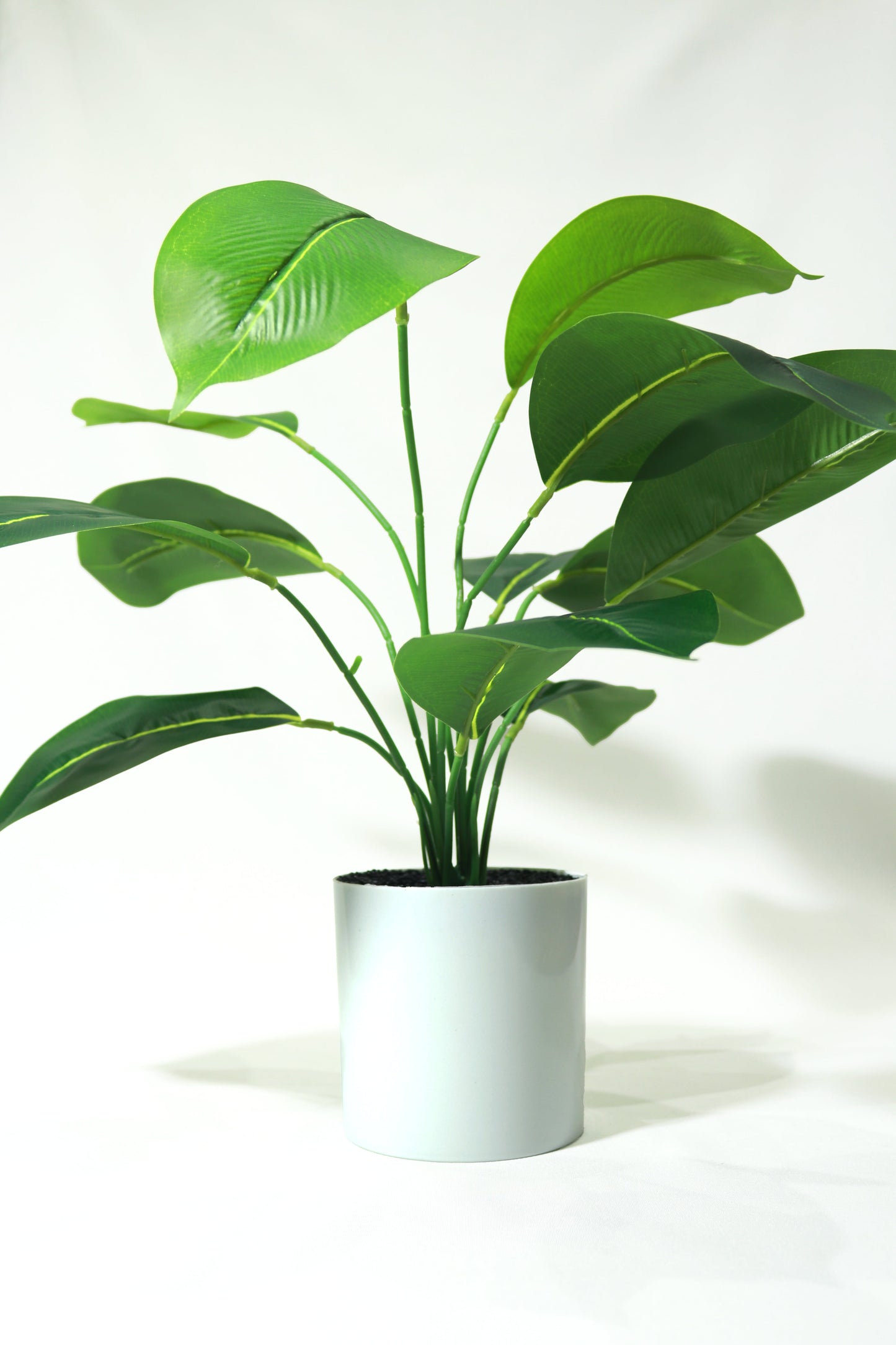 Fake Plant with Pot
