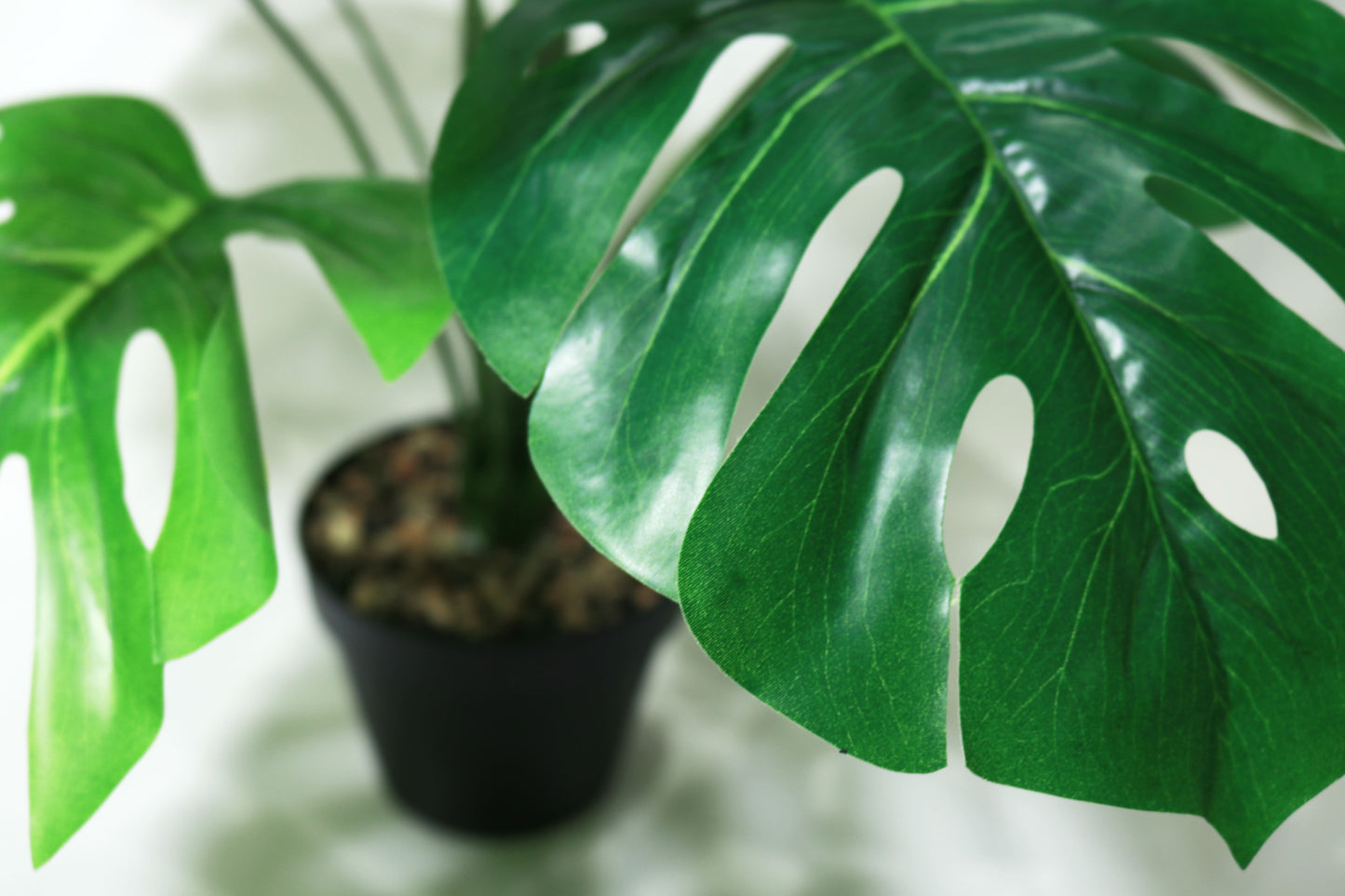 Fake Plant with Pot