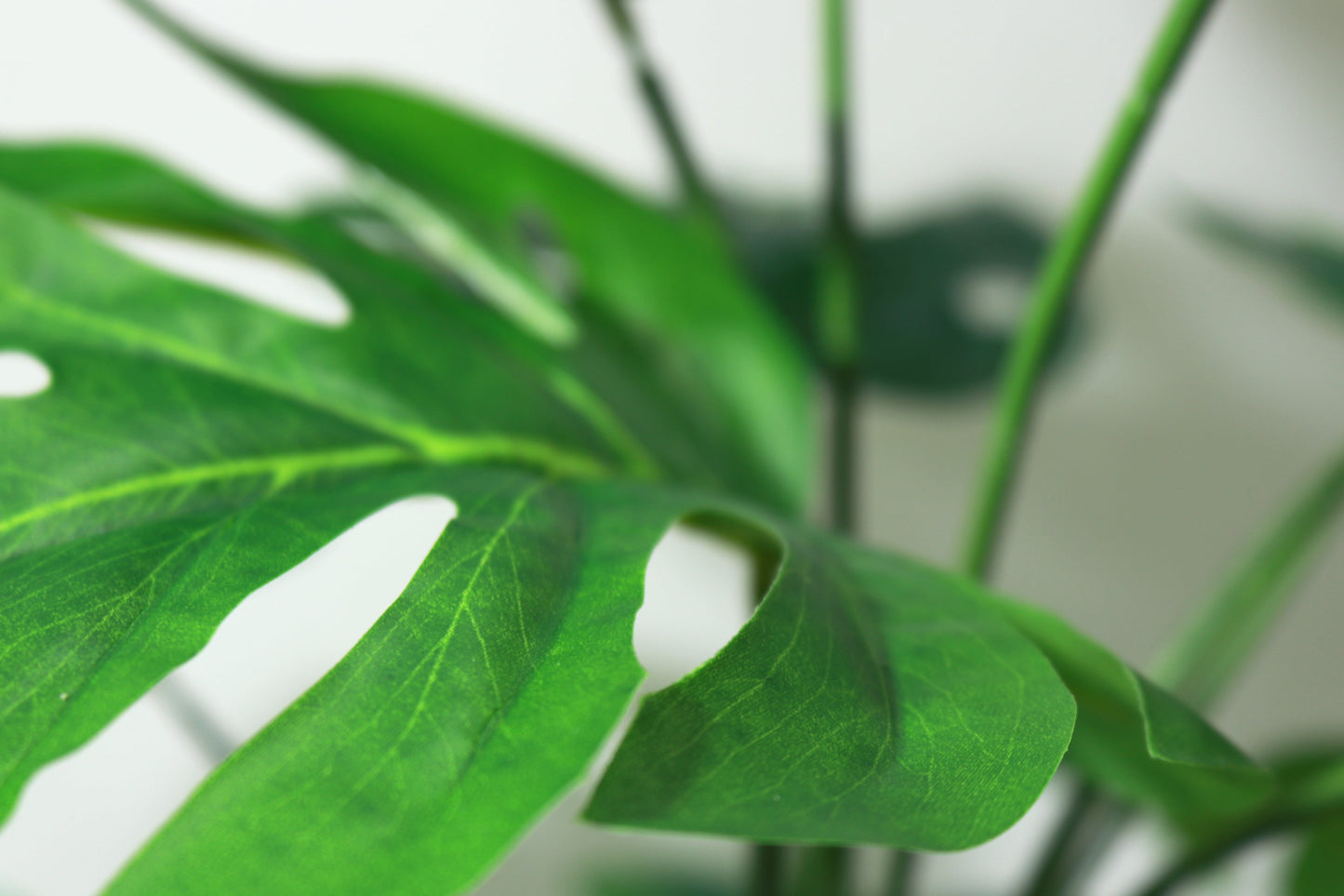 Fake Plant with Pot